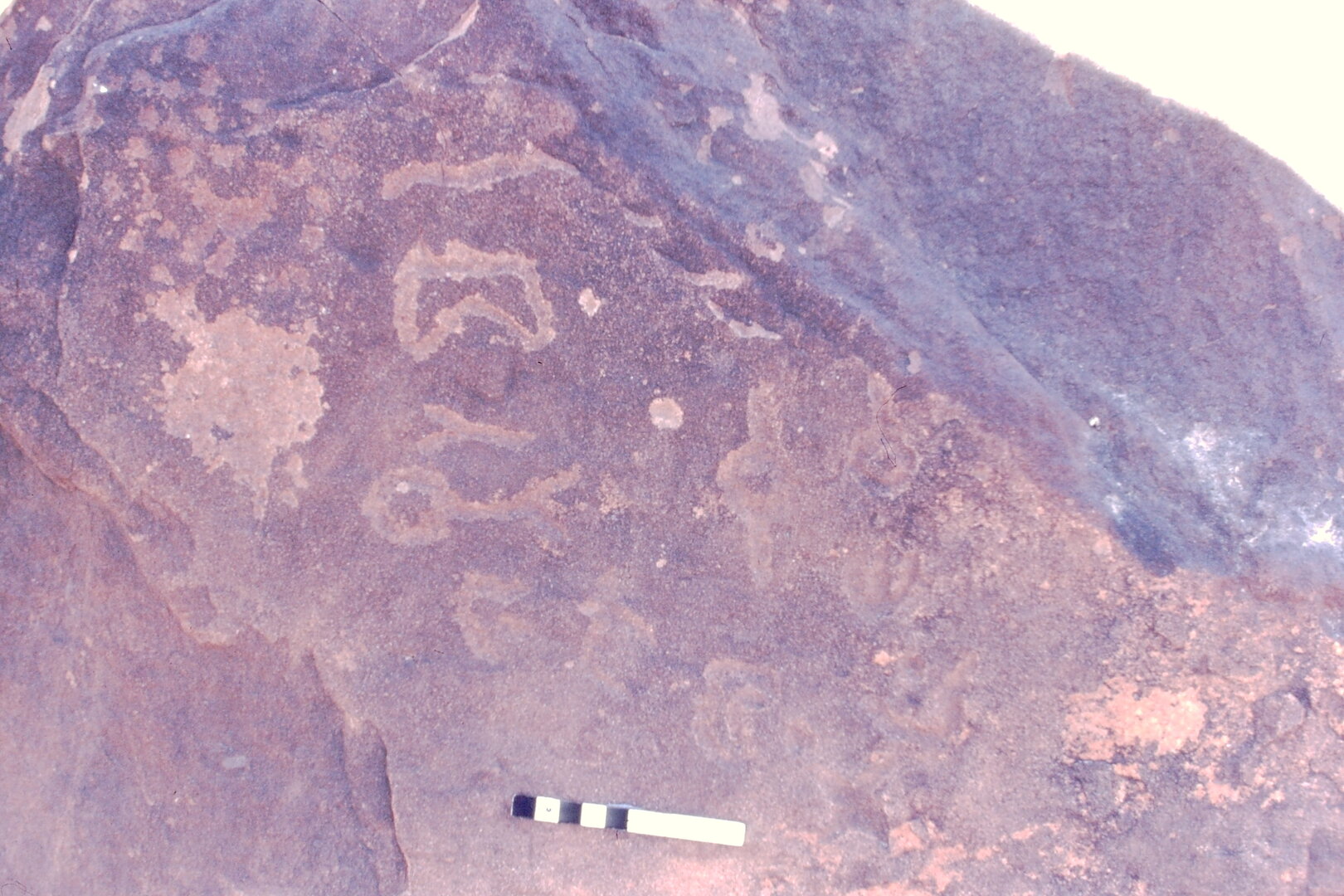 inscription of siglum Jacobson D.16.3