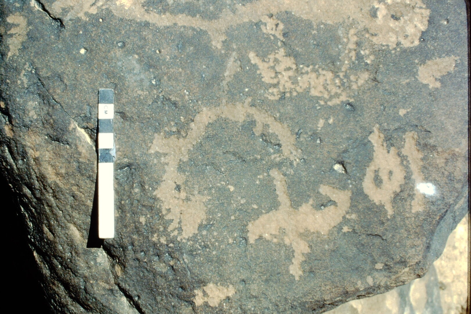 inscription of siglum Jacobson D.19.1