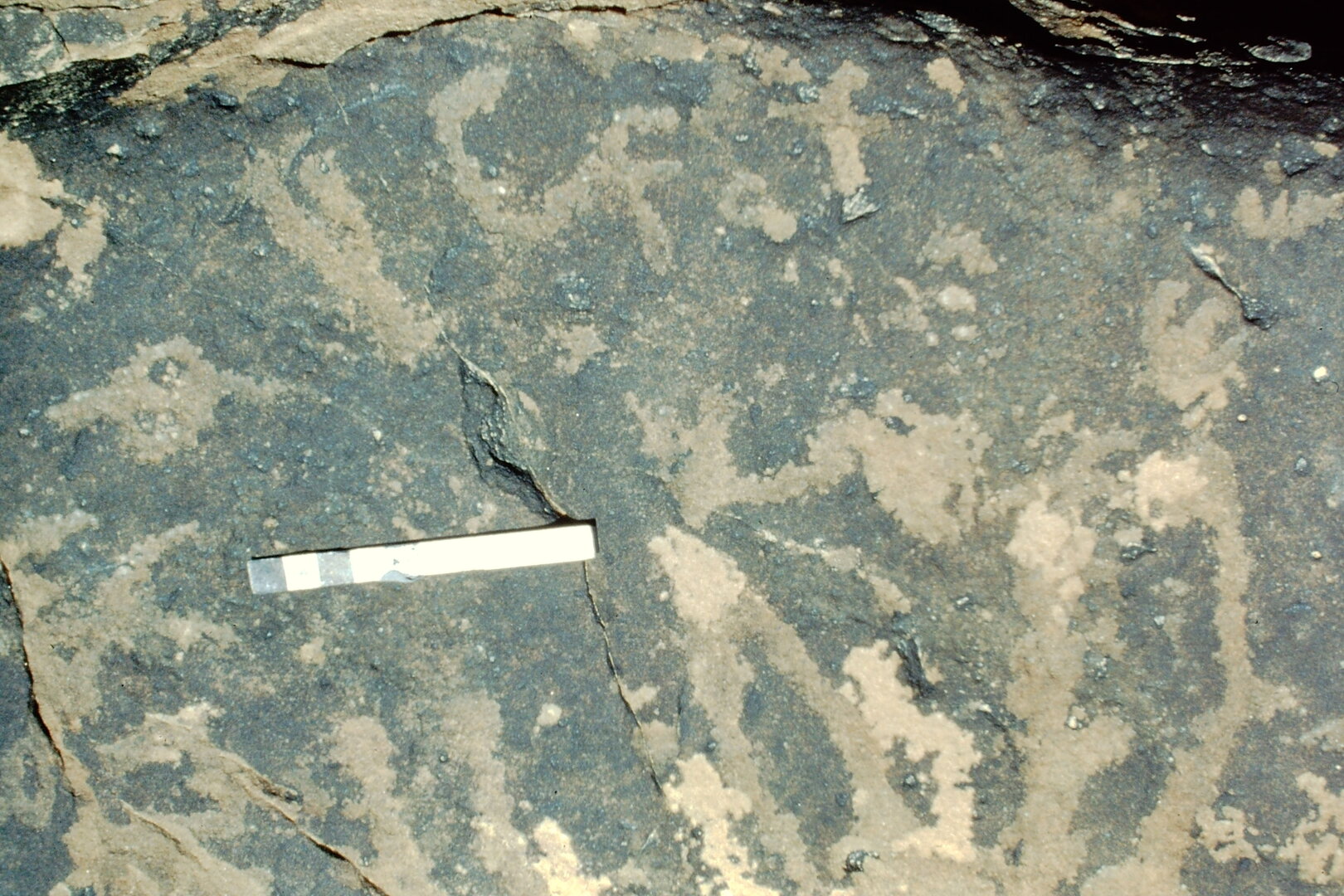 inscription of siglum Jacobson D.19.2