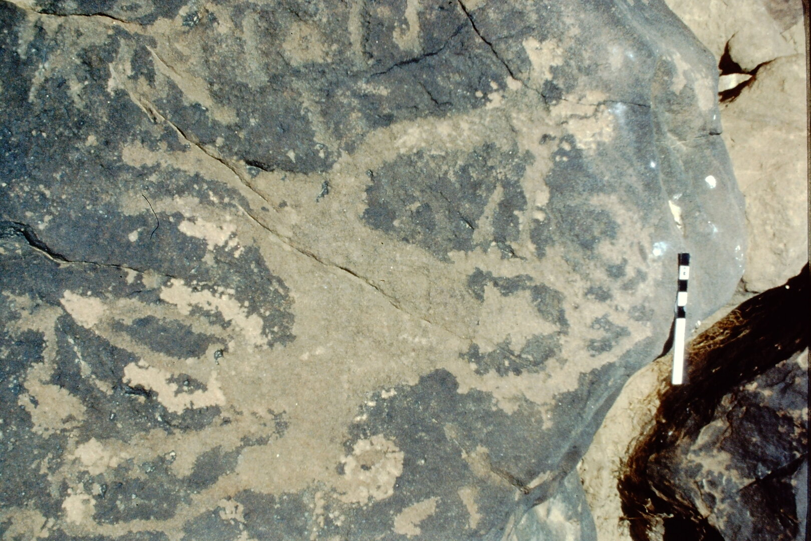 inscription of siglum Jacobson D.19.2