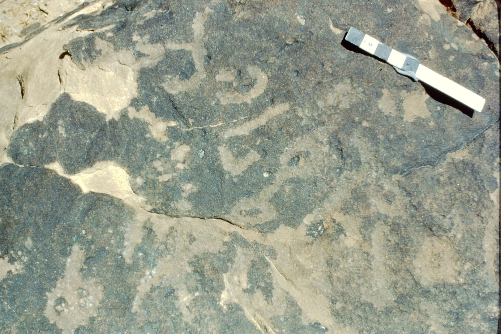 inscription of siglum Jacobson D.19.3
