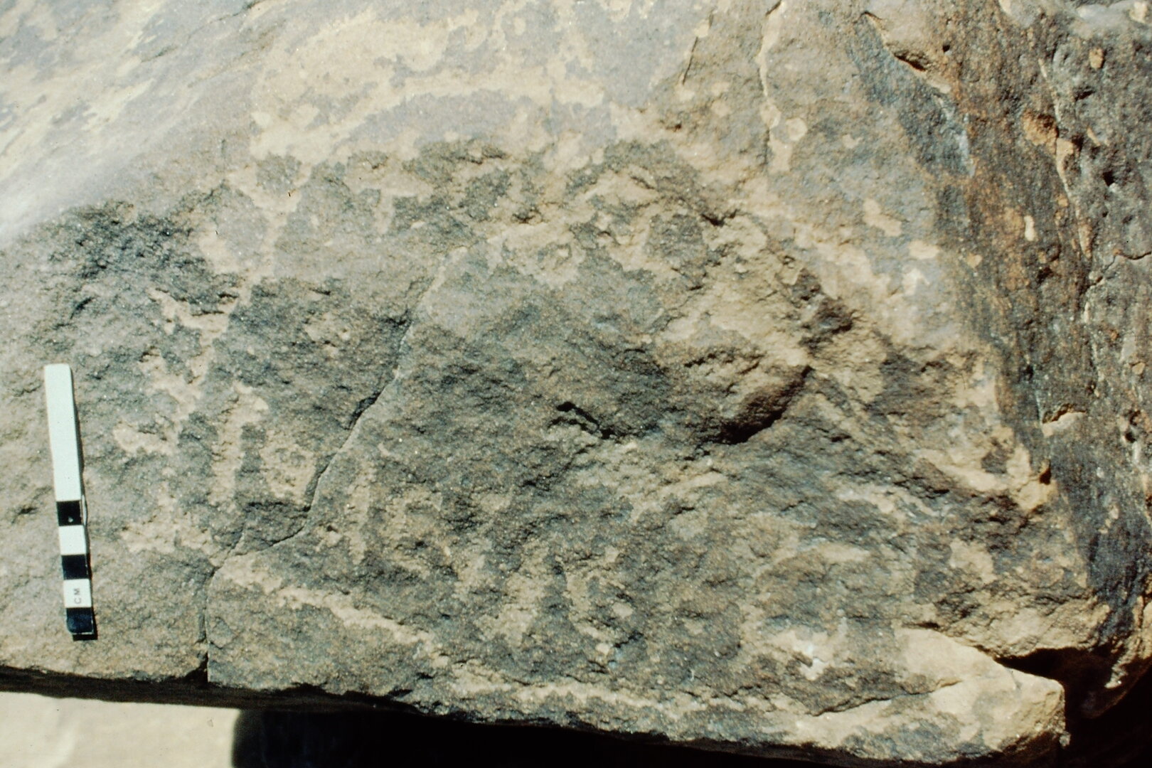inscription of siglum Jacobson D.19.4