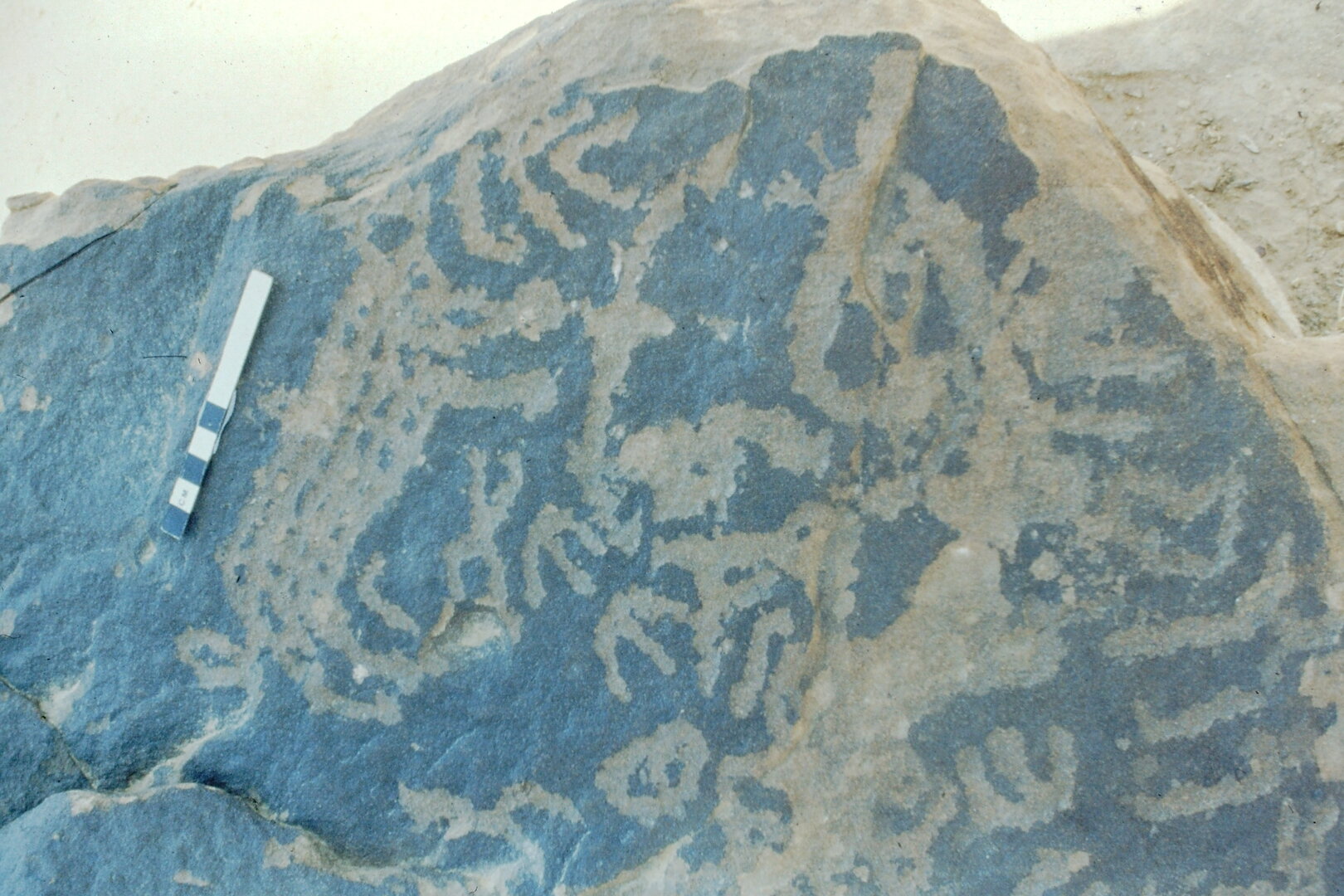 inscription of siglum Jacobson D.20.2