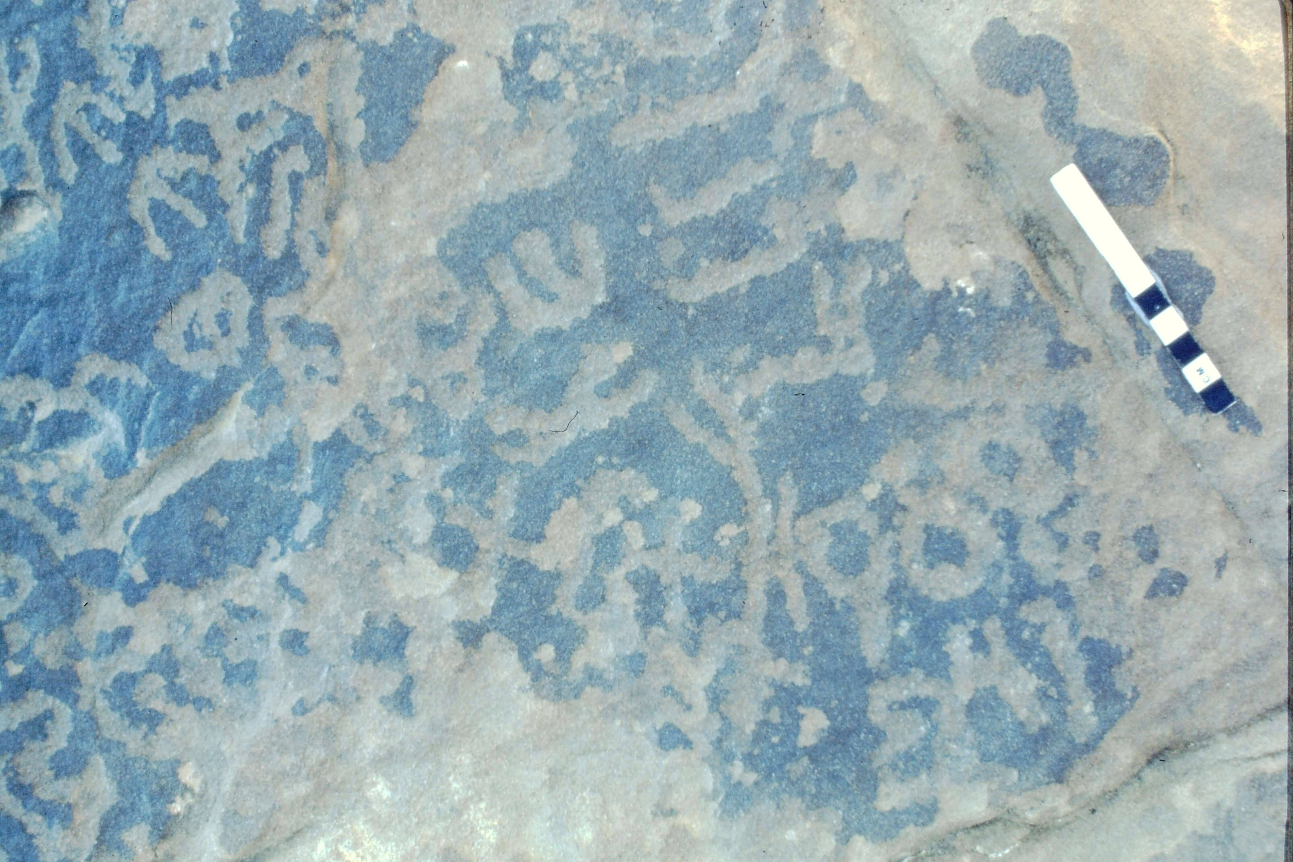 inscription of siglum Jacobson D.20.2