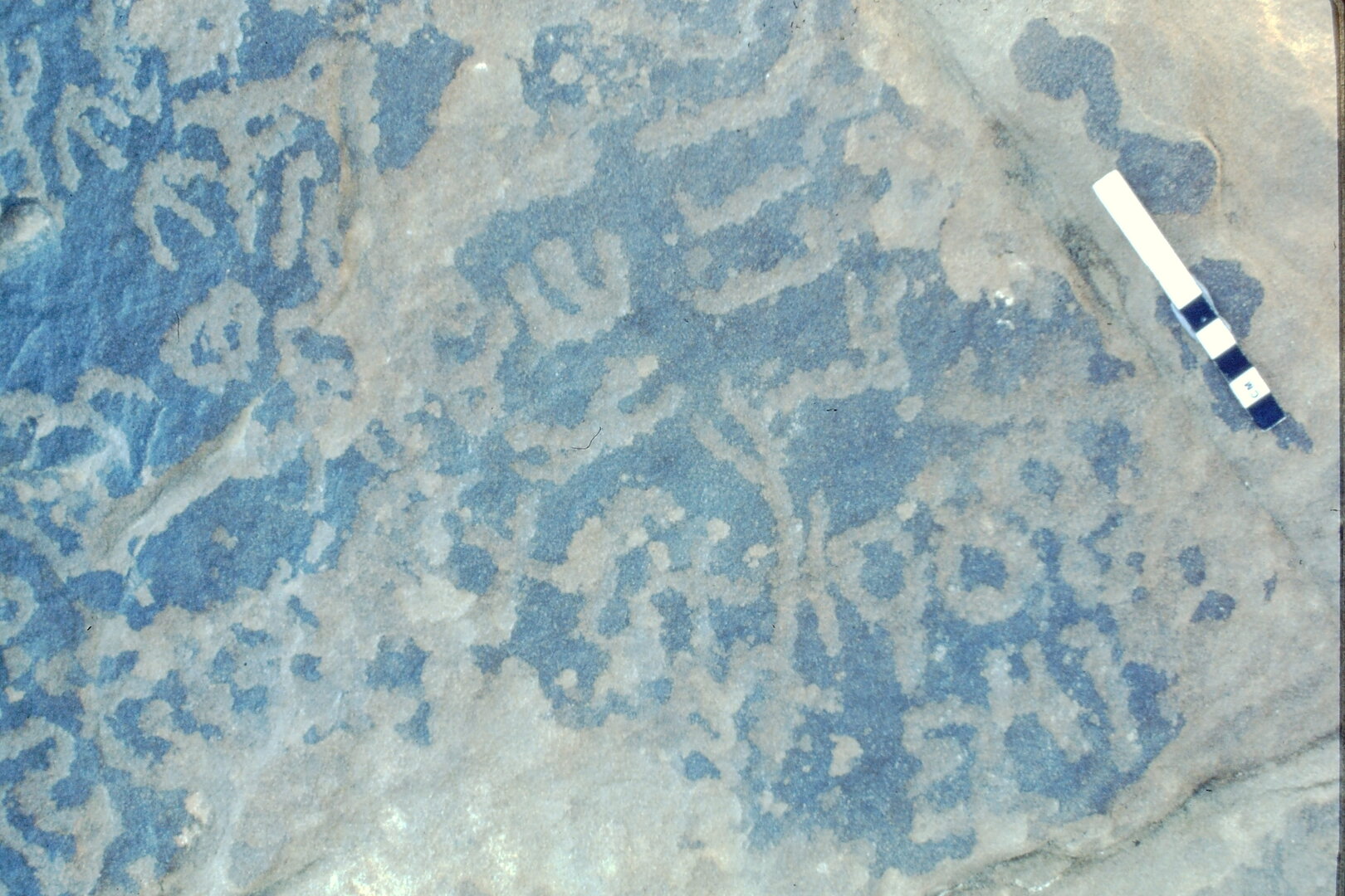 inscription of siglum Jacobson D.20.3