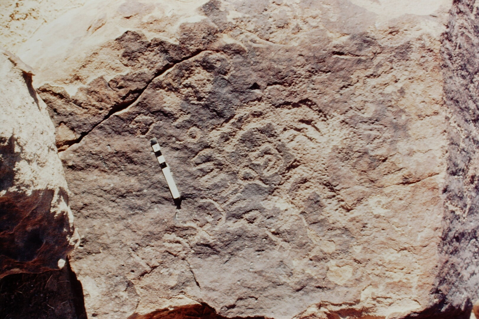 inscription of siglum Jacobson D.22.3 b