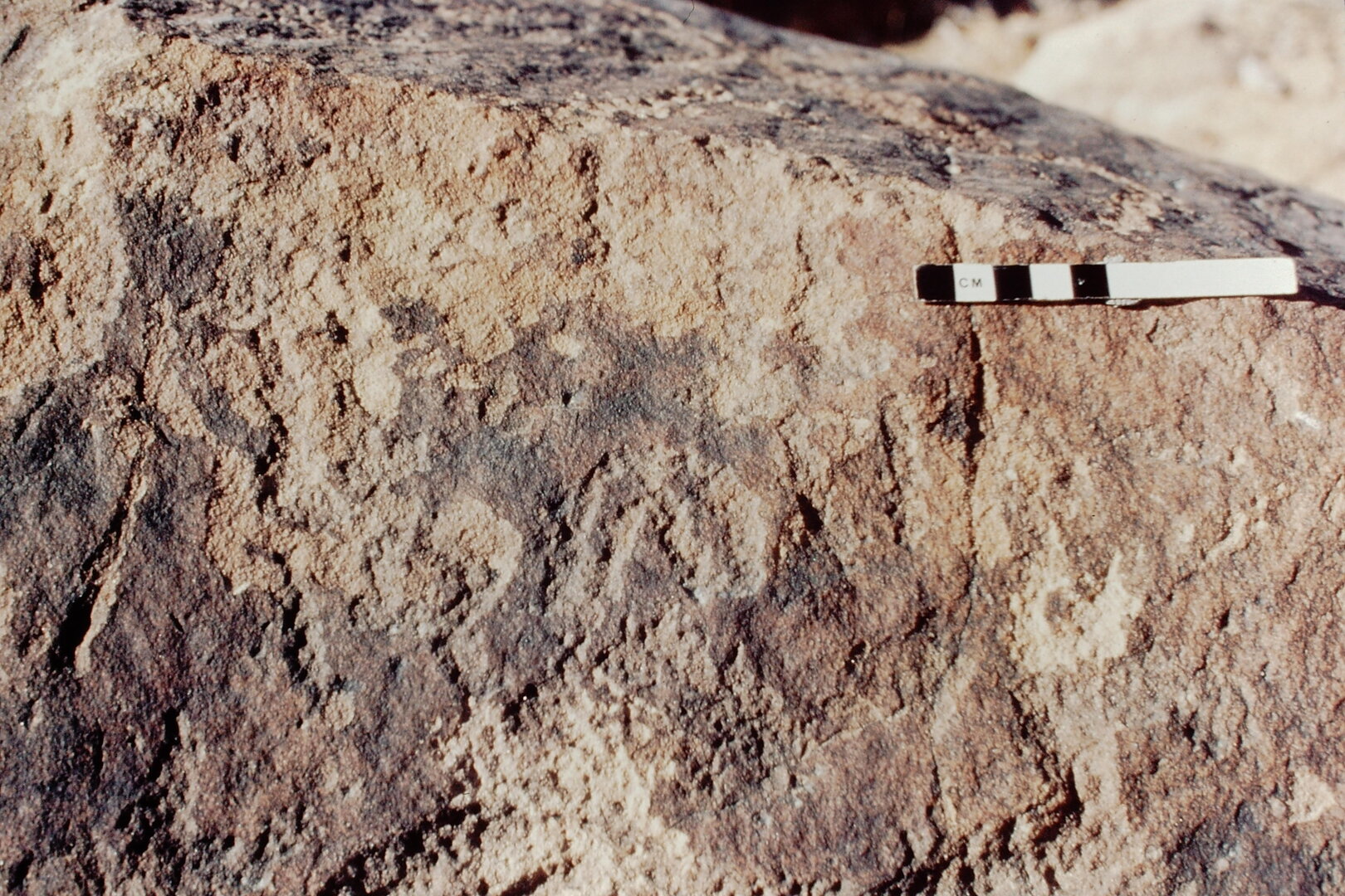 inscription of siglum Jacobson D.22.4 b