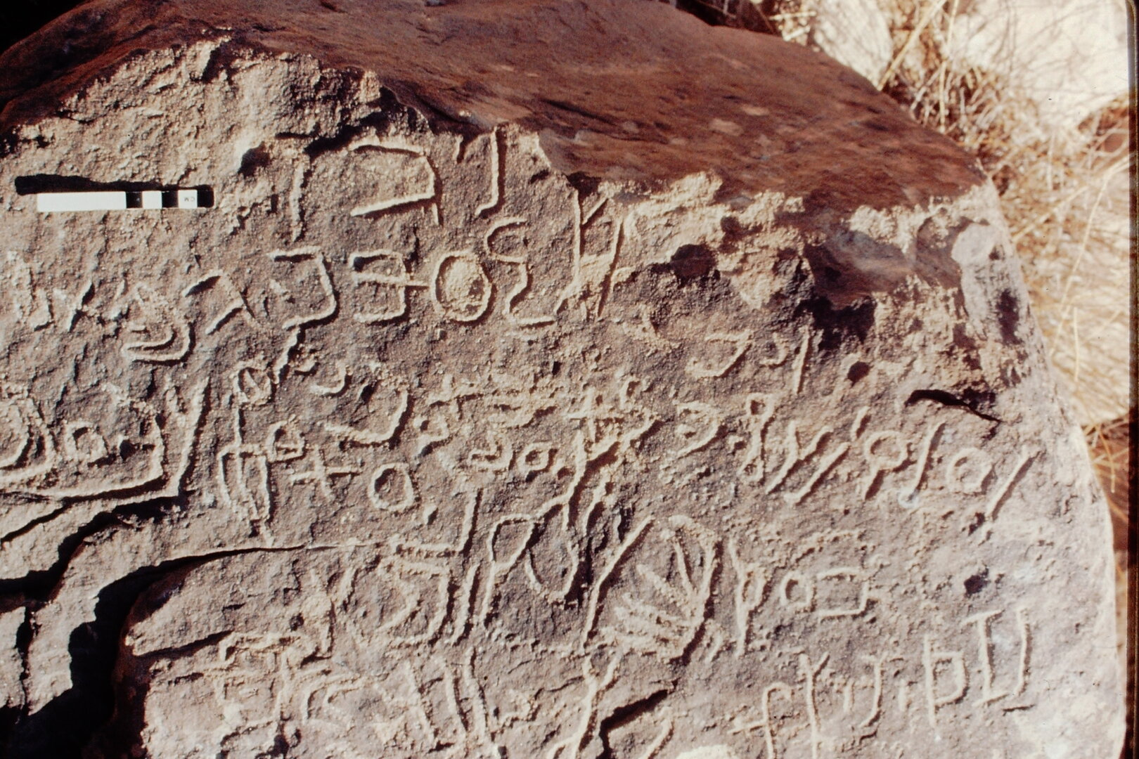inscription of siglum Jacobson D.24.2 b