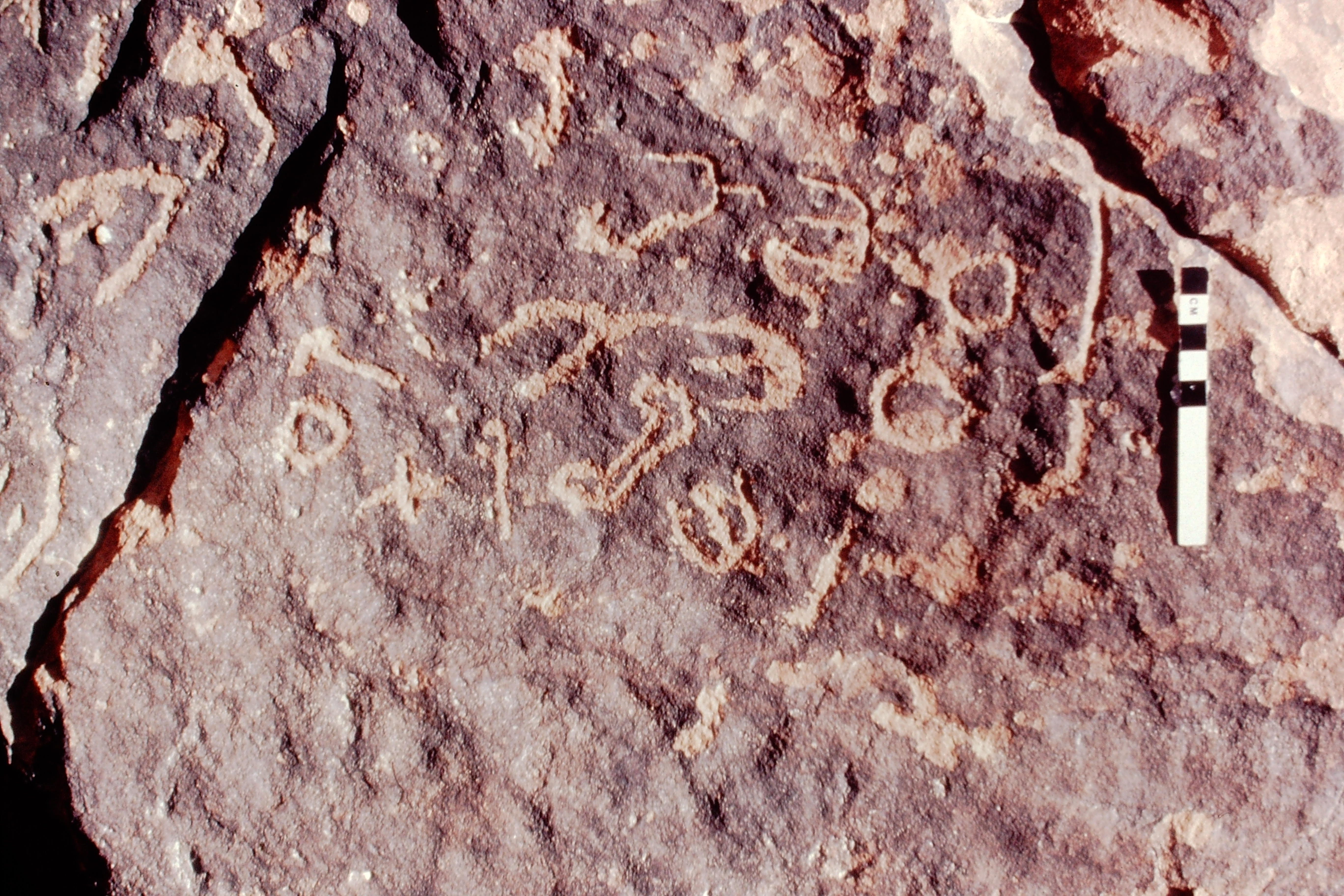 inscription of siglum Jacobson D.25.3 b