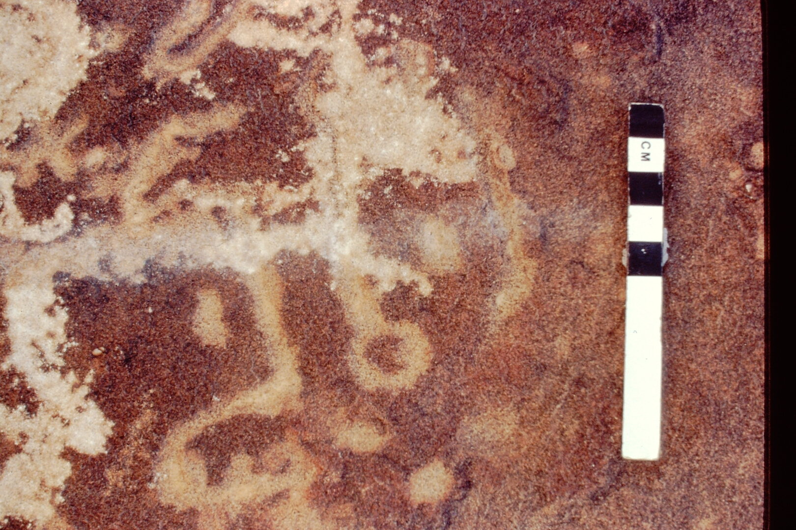 inscription of siglum Jacobson D.26.D.2