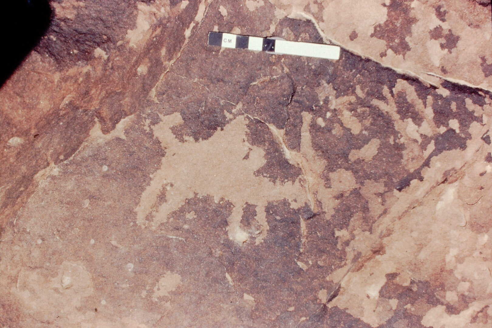 inscription of siglum Jacobson D.28.4