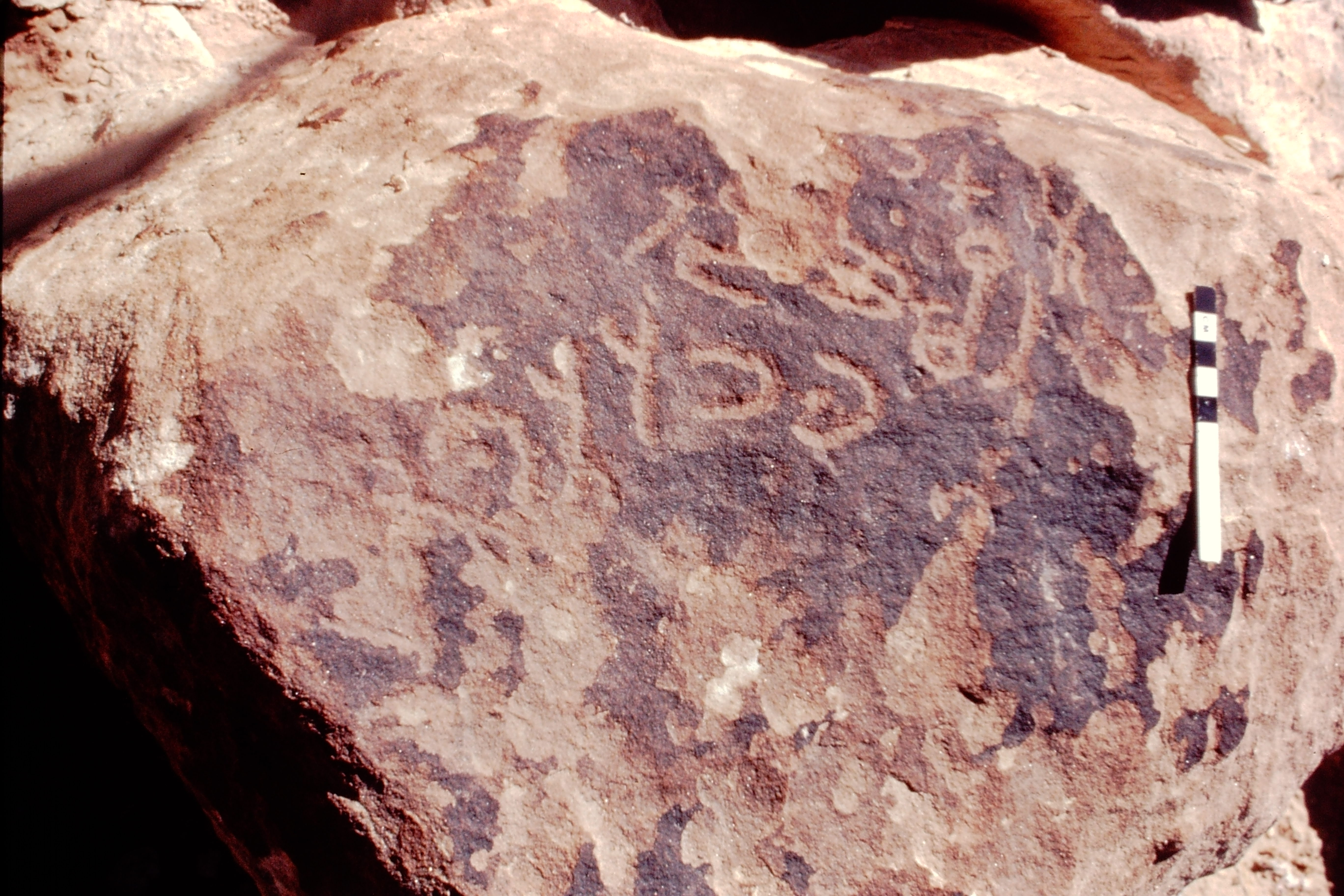 inscription of siglum Jacobson D.29.1