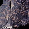 inscription of siglum Jacobson D.3.B.1