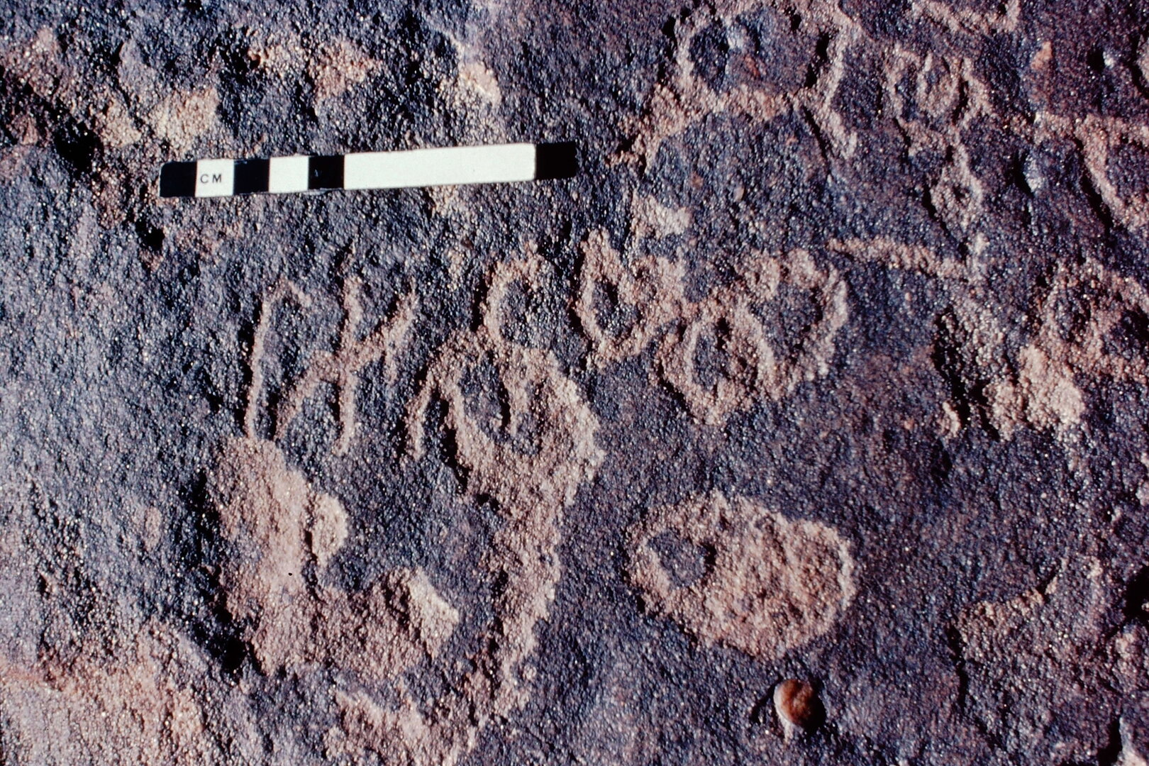 inscription of siglum Jacobson D.3.B.7 a