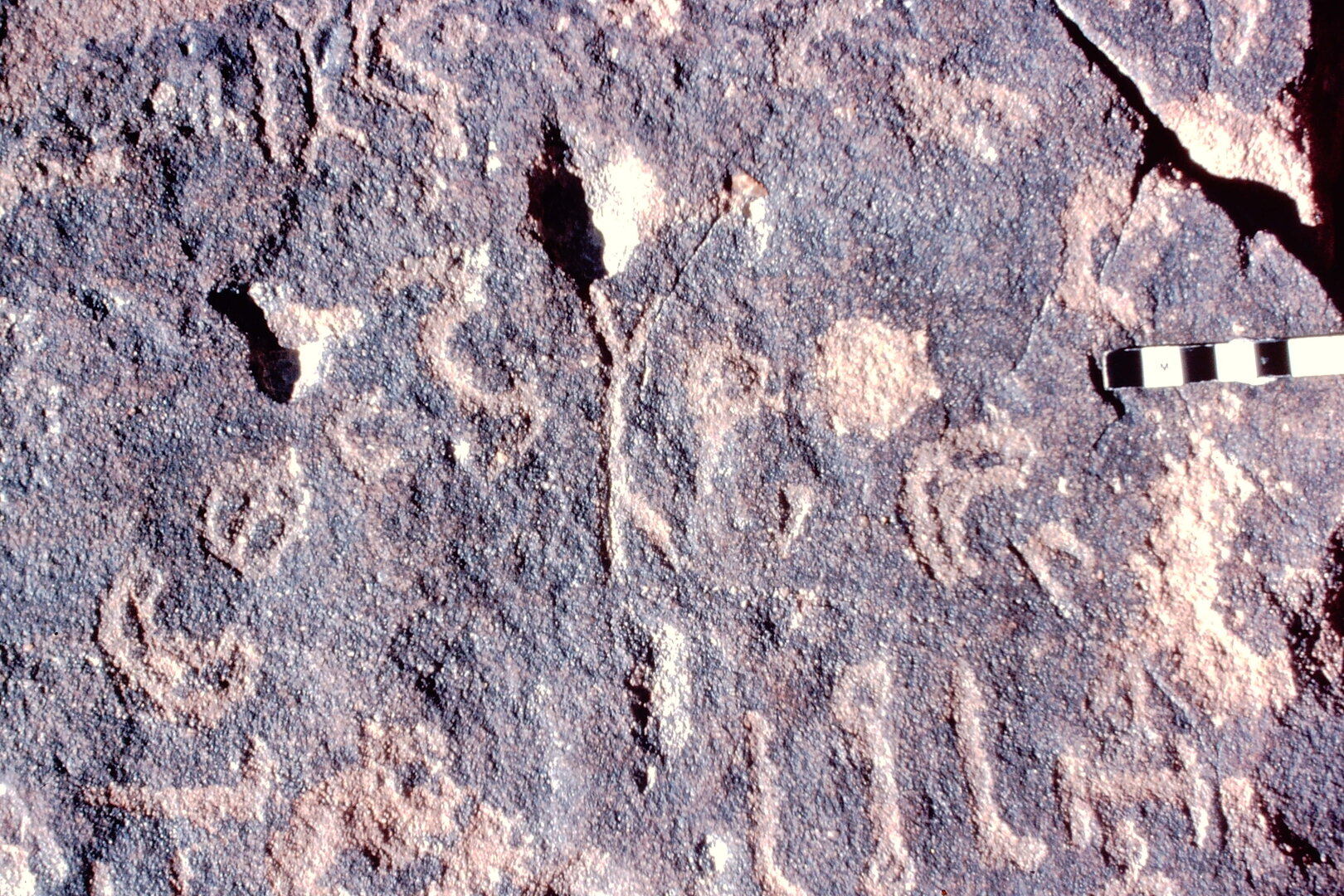 inscription of siglum Jacobson D.3.B.7 c