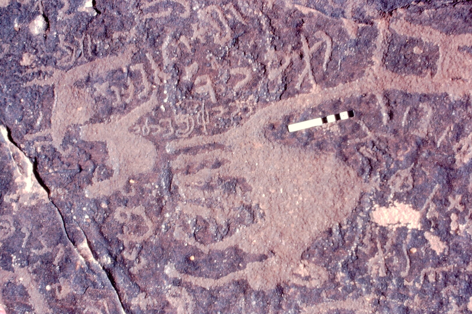 inscription of siglum Jacobson D.3.C.11