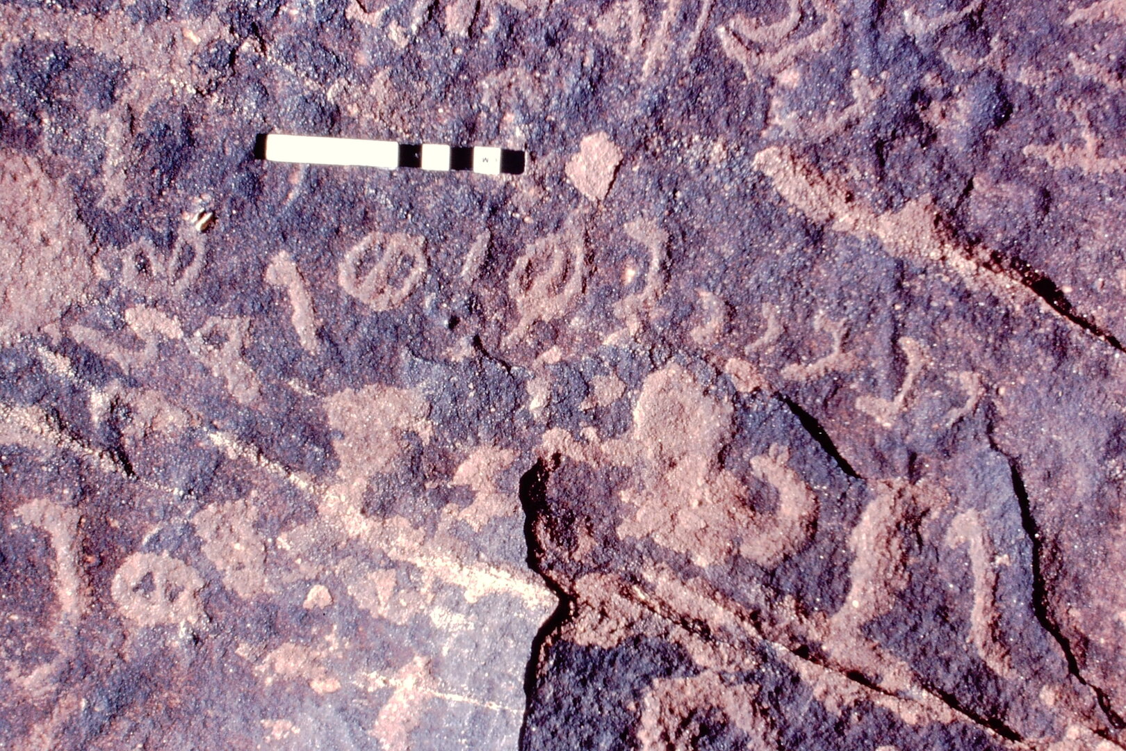 inscription of siglum Jacobson D.3.C.12