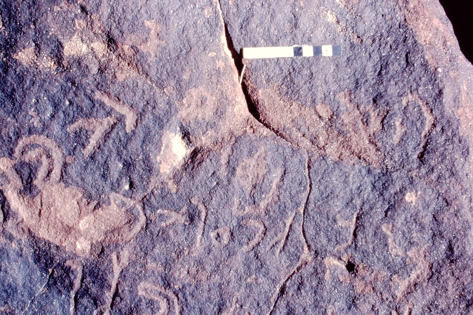 inscription of siglum Jacobson D.3.C.3