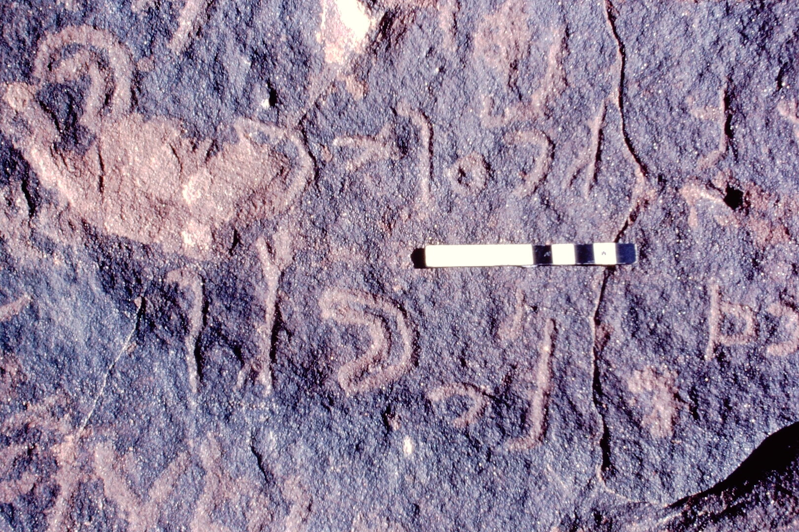 inscription of siglum Jacobson D.3.C.4