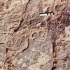 inscription of siglum Jacobson D.30.10 b