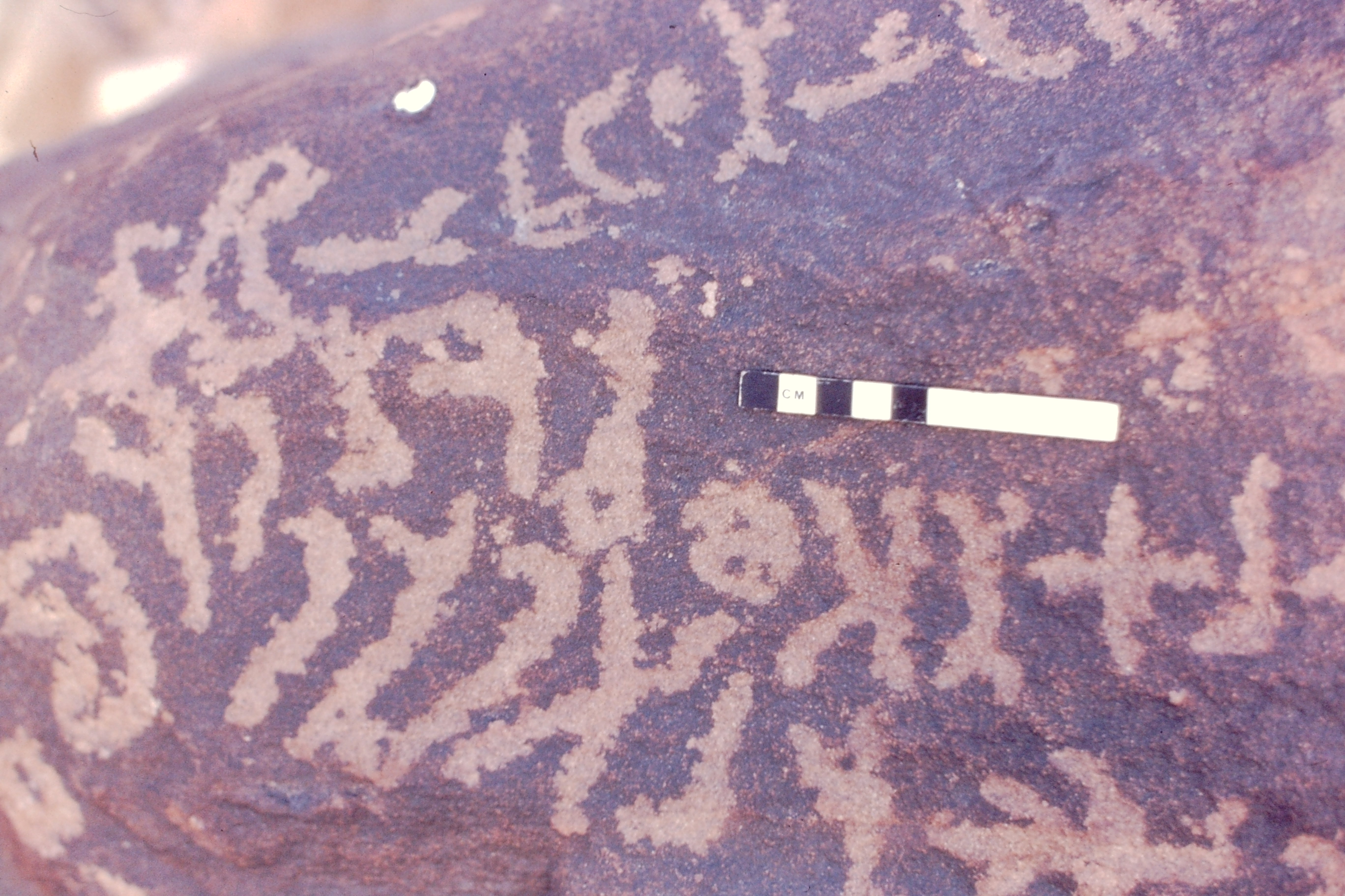 inscription of siglum Jacobson D.4.1