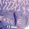 inscription of siglum Jacobson D.4.1