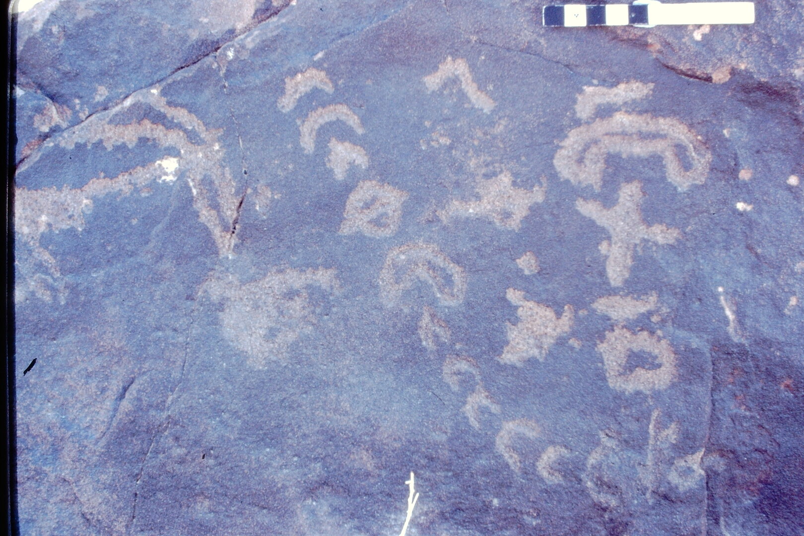 inscription of siglum Jacobson D.7.3