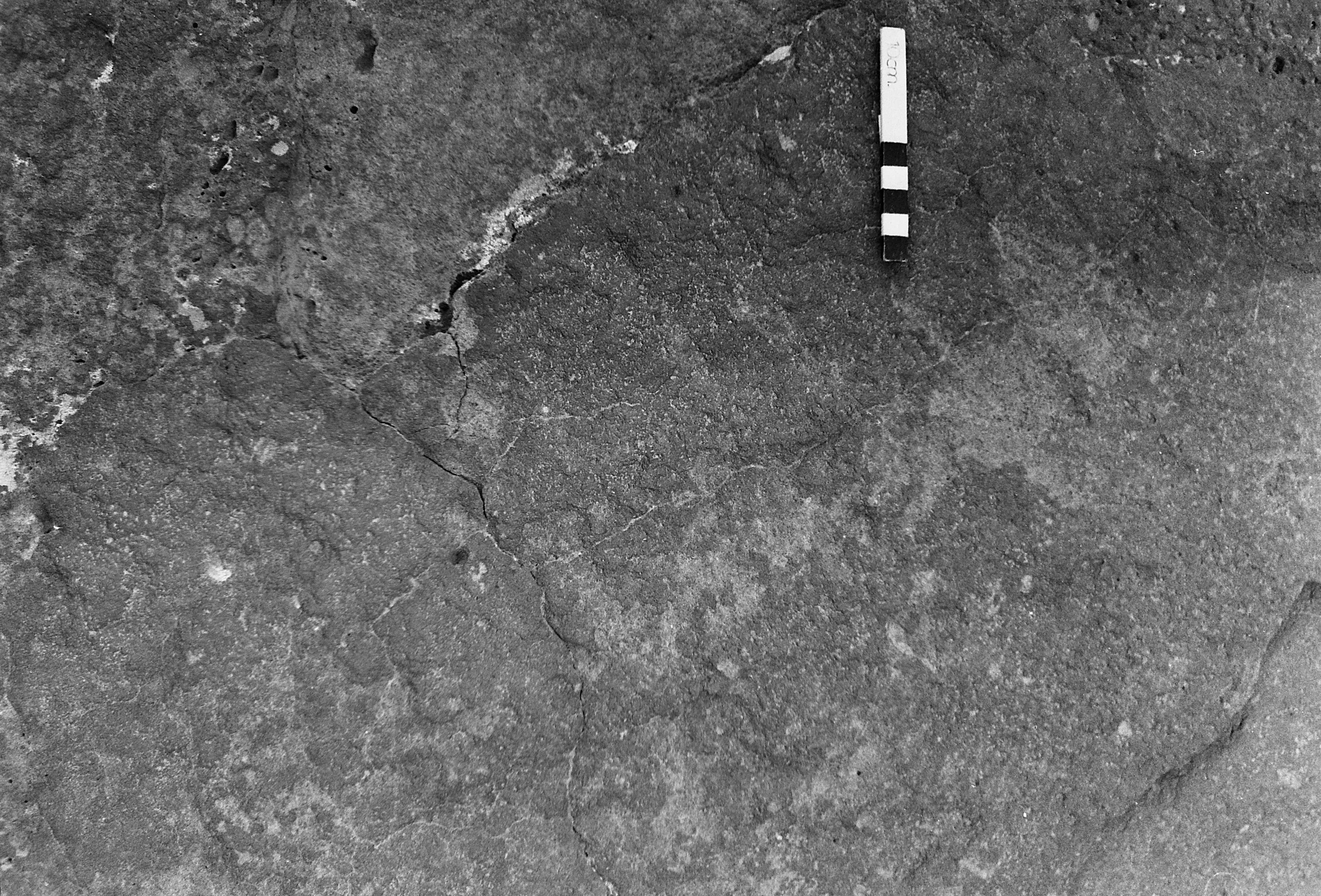 JAWA75_VII_019