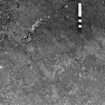 JAWA75_VII_019