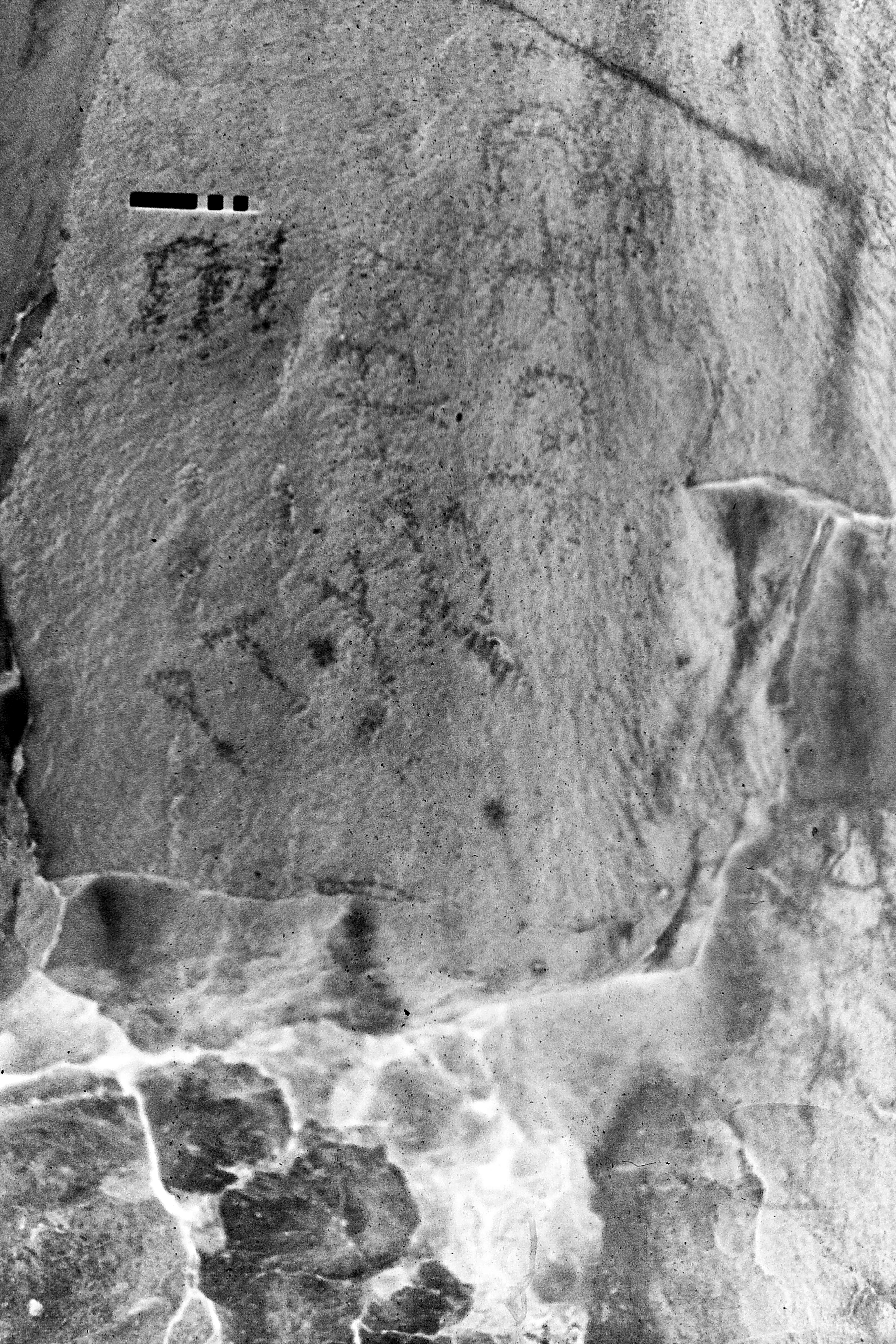 JAWA75_VII_023_neg.jpg