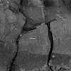 JAWA76_IX_19.jpg