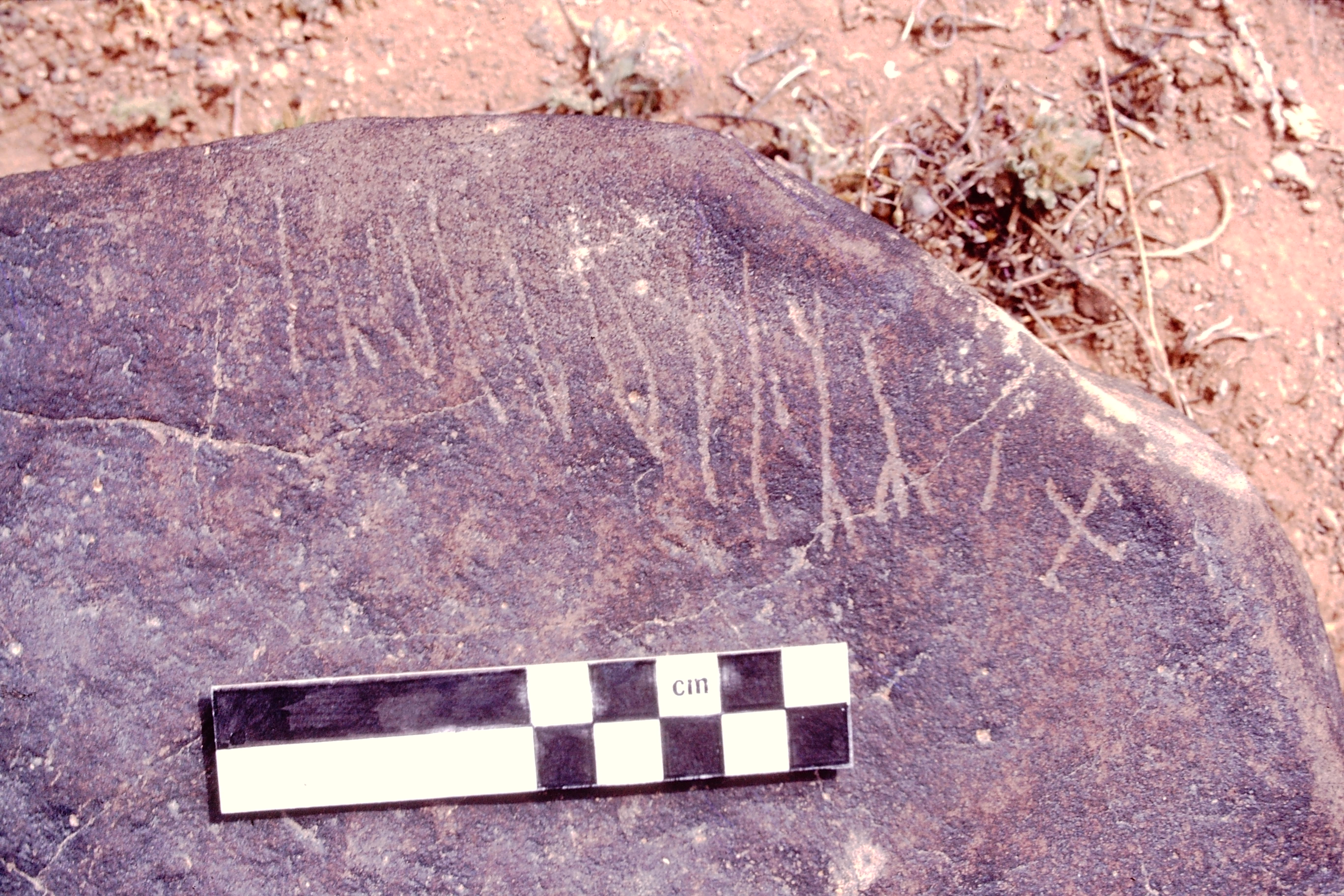 Image of JawaM 1