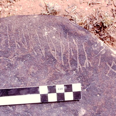 Image of JawaM 1