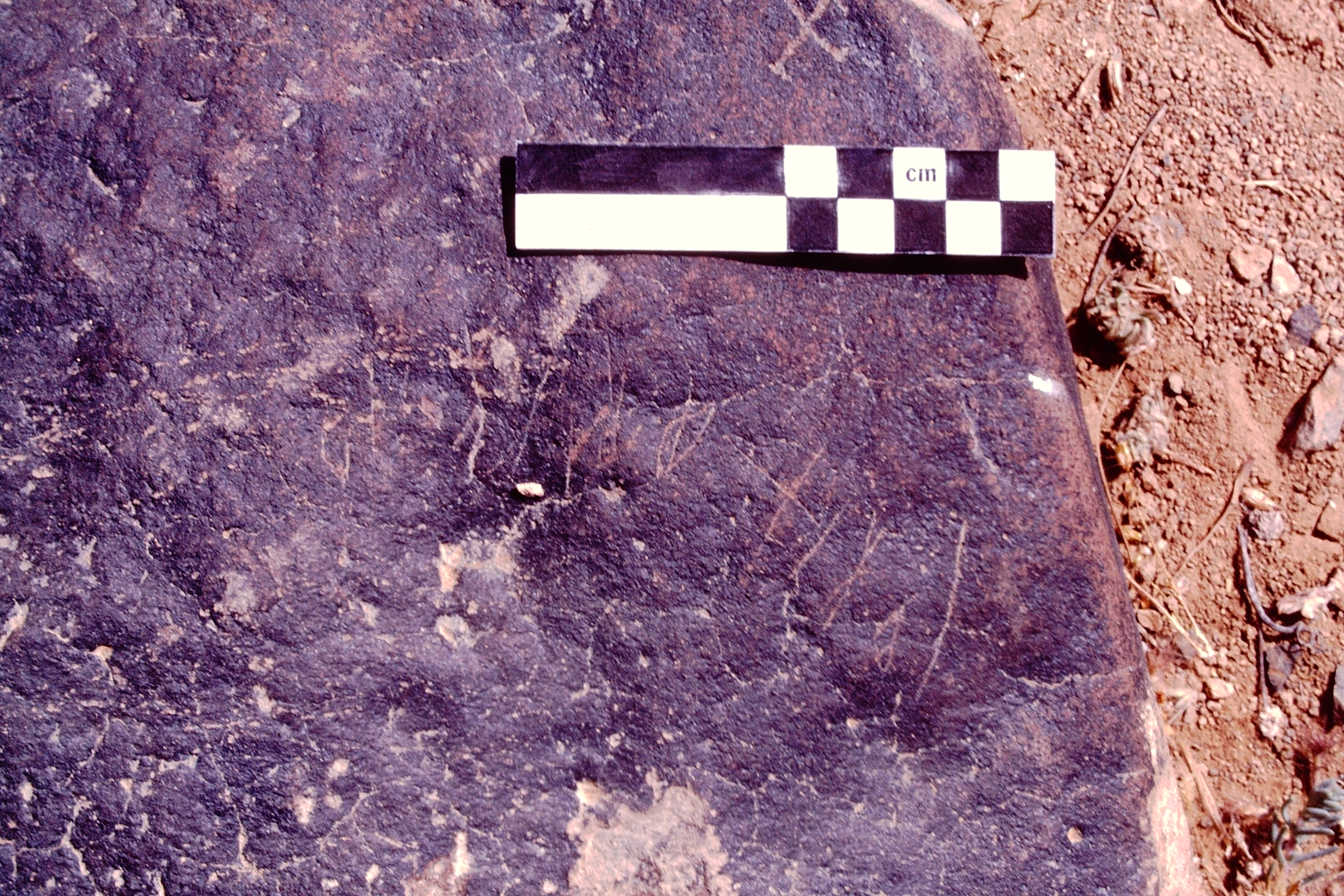 Image of JawaM 2