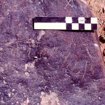 Image of JawaM 2