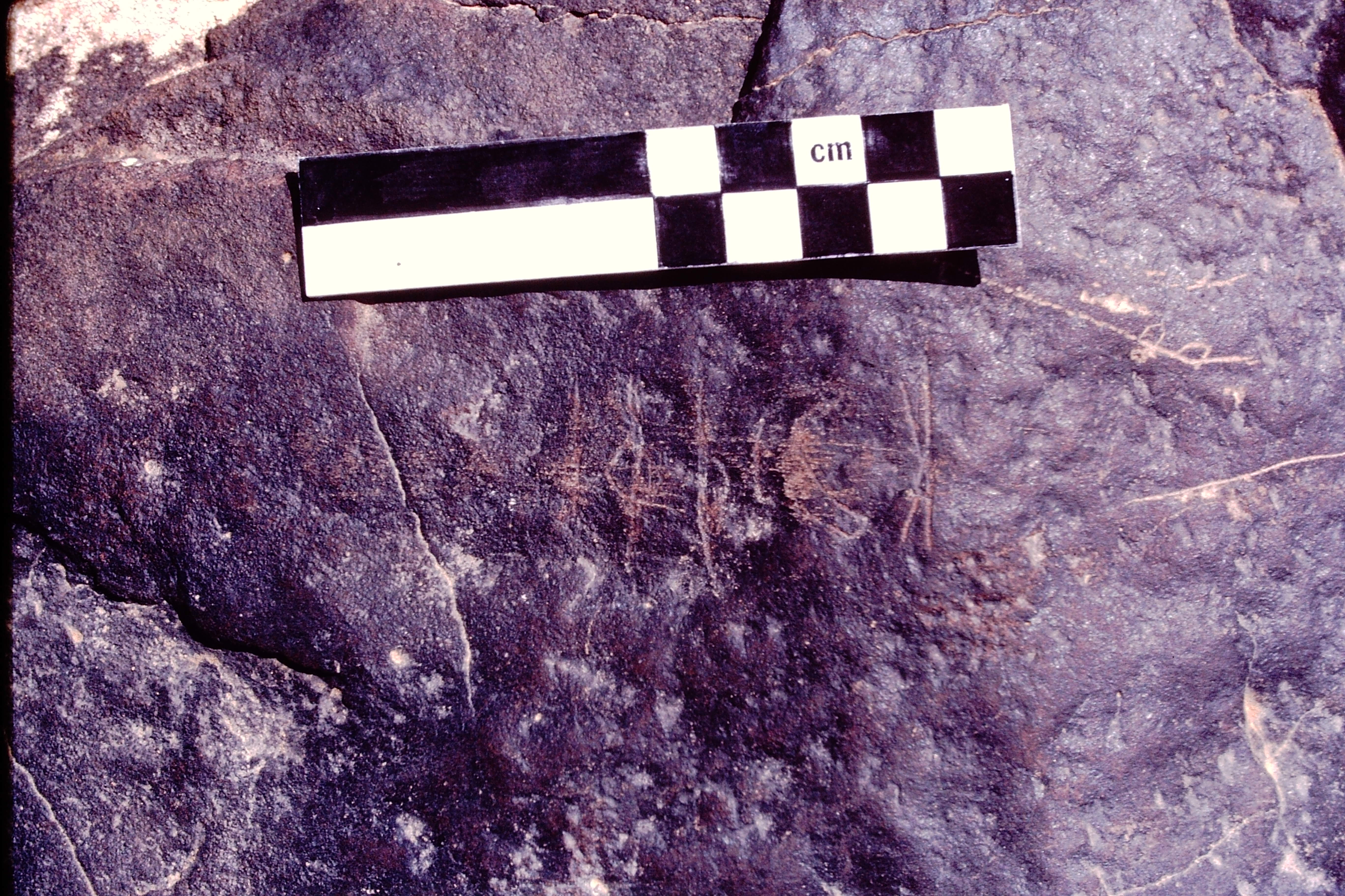 Image of JawaM 3