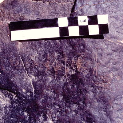 Image of JawaM 3