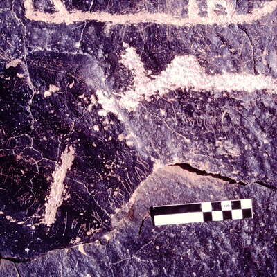 Image of JawaM 4