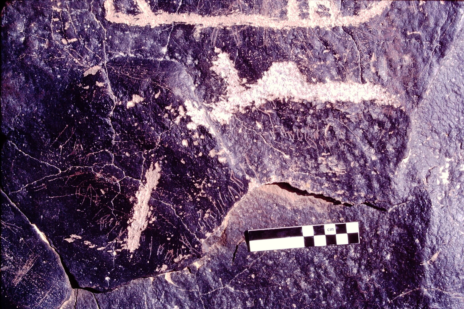 Image of JawaM 4