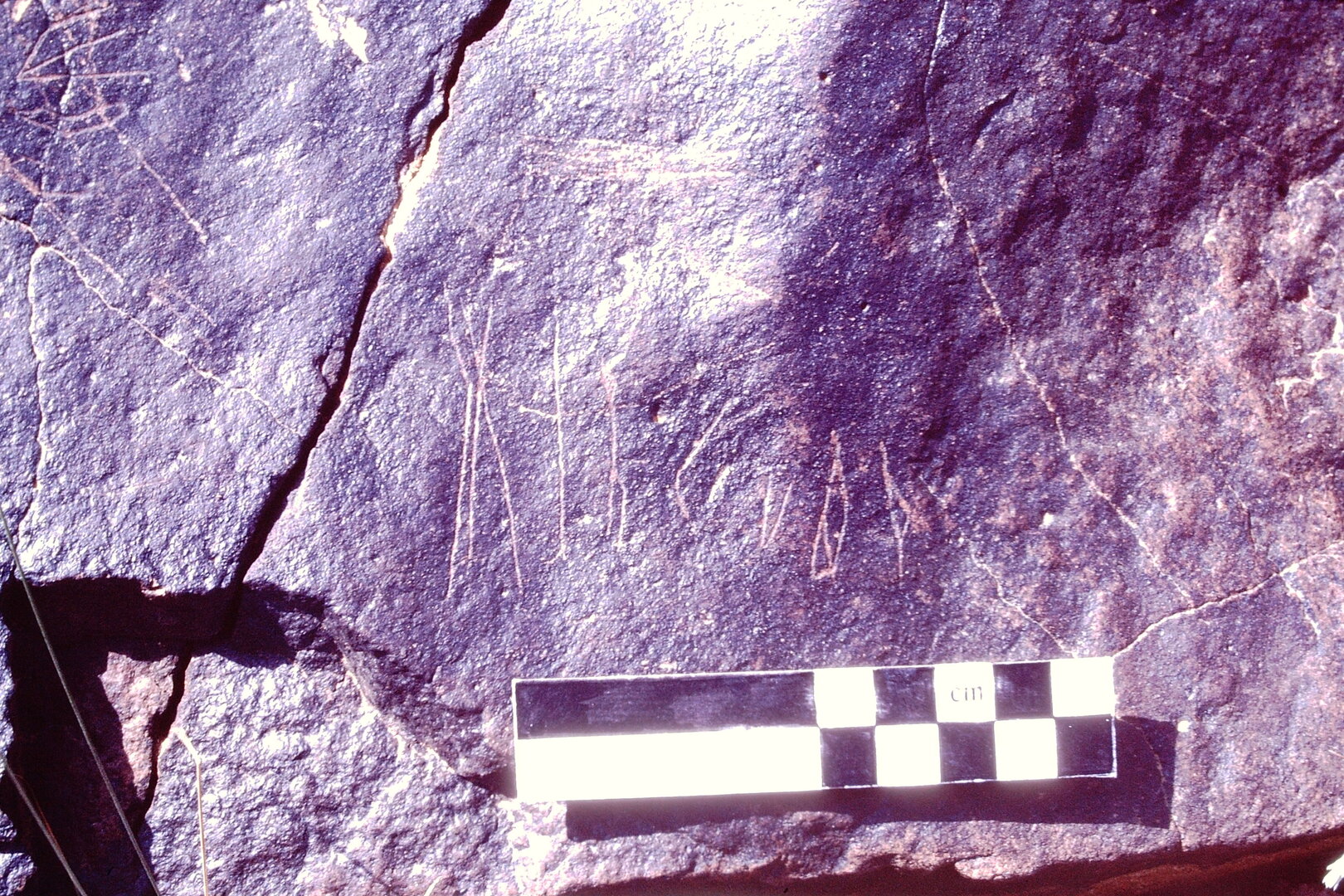 Image of JawaM 5