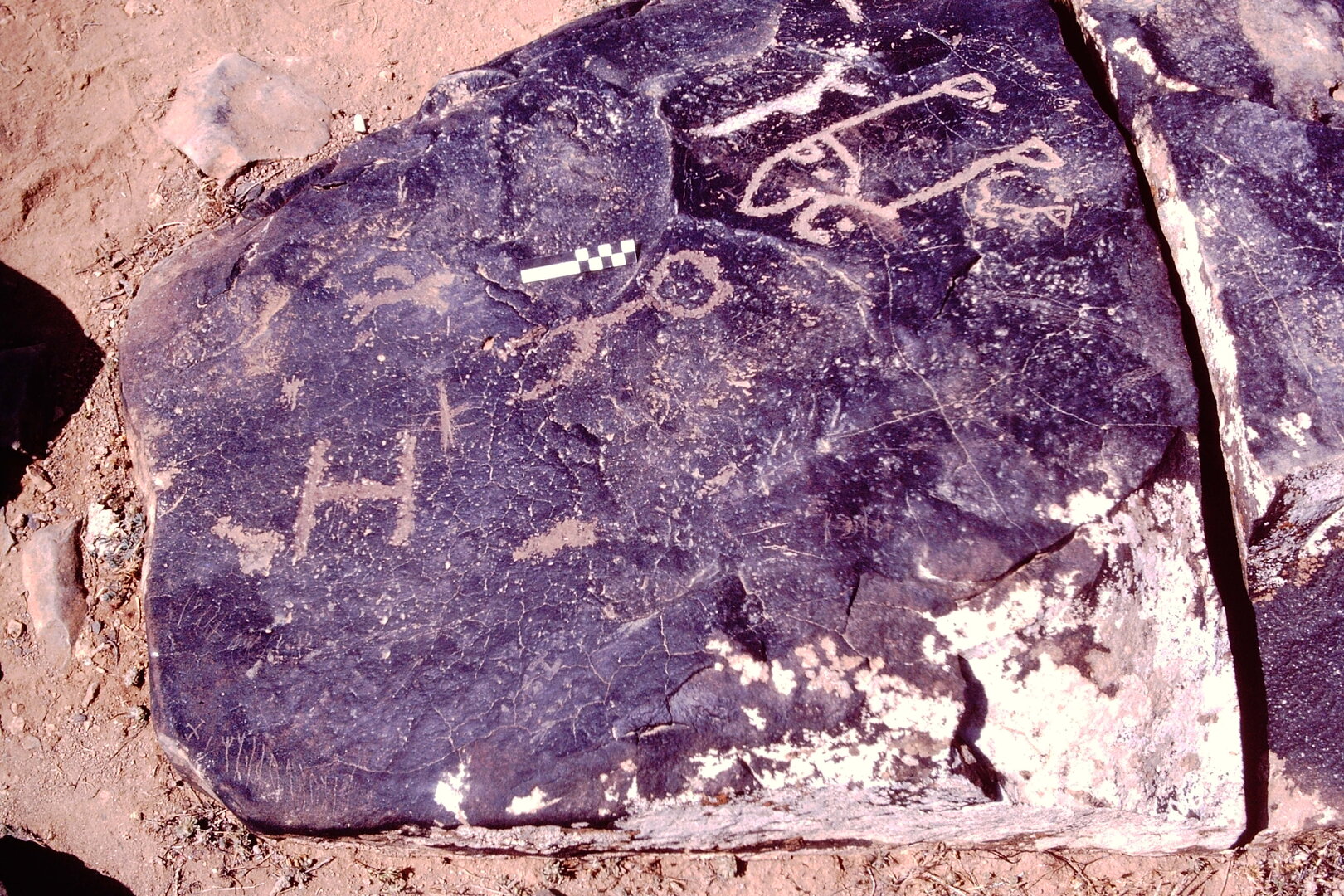 Image of JawaM 6