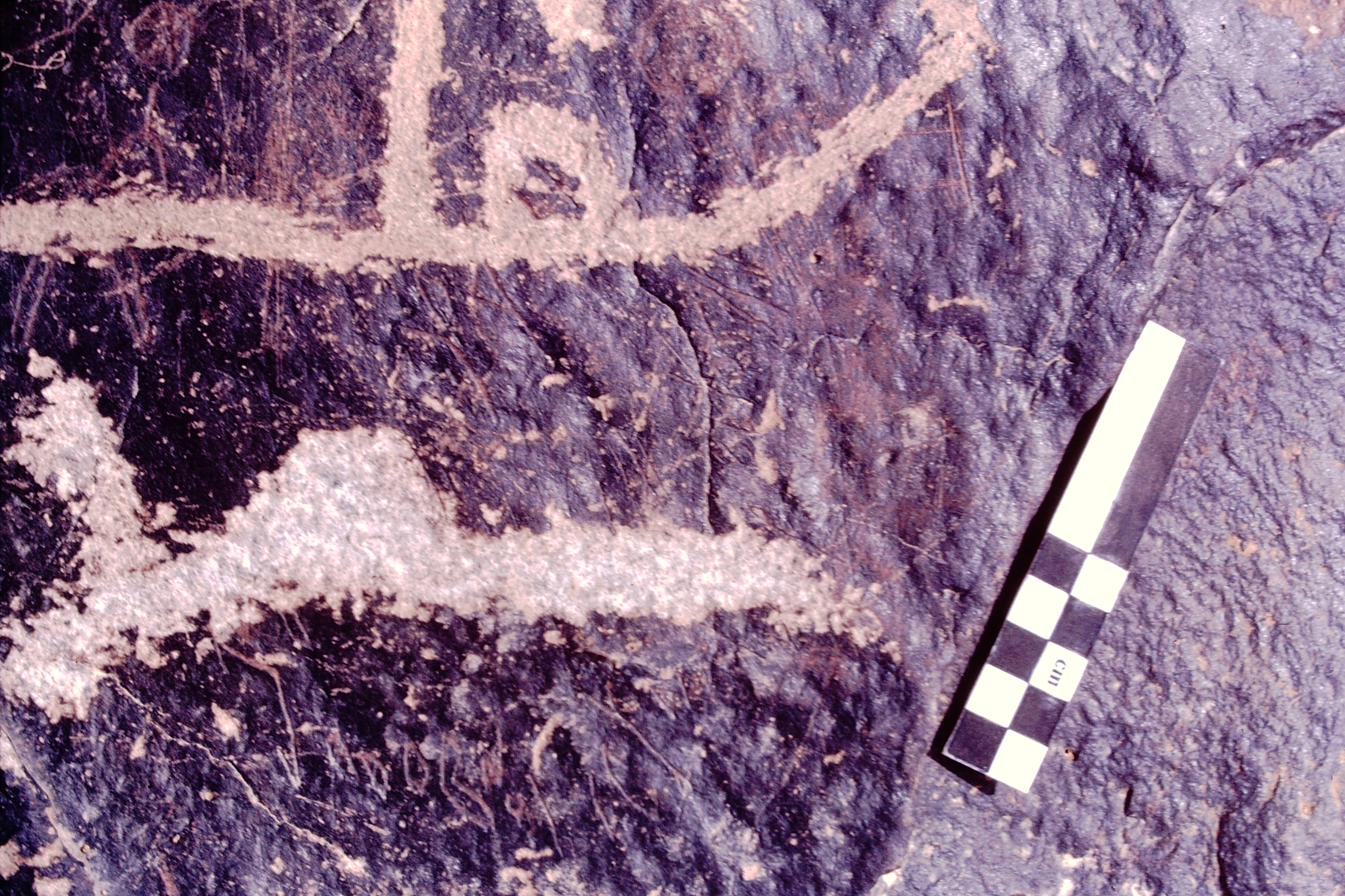 Image of JawaM 7