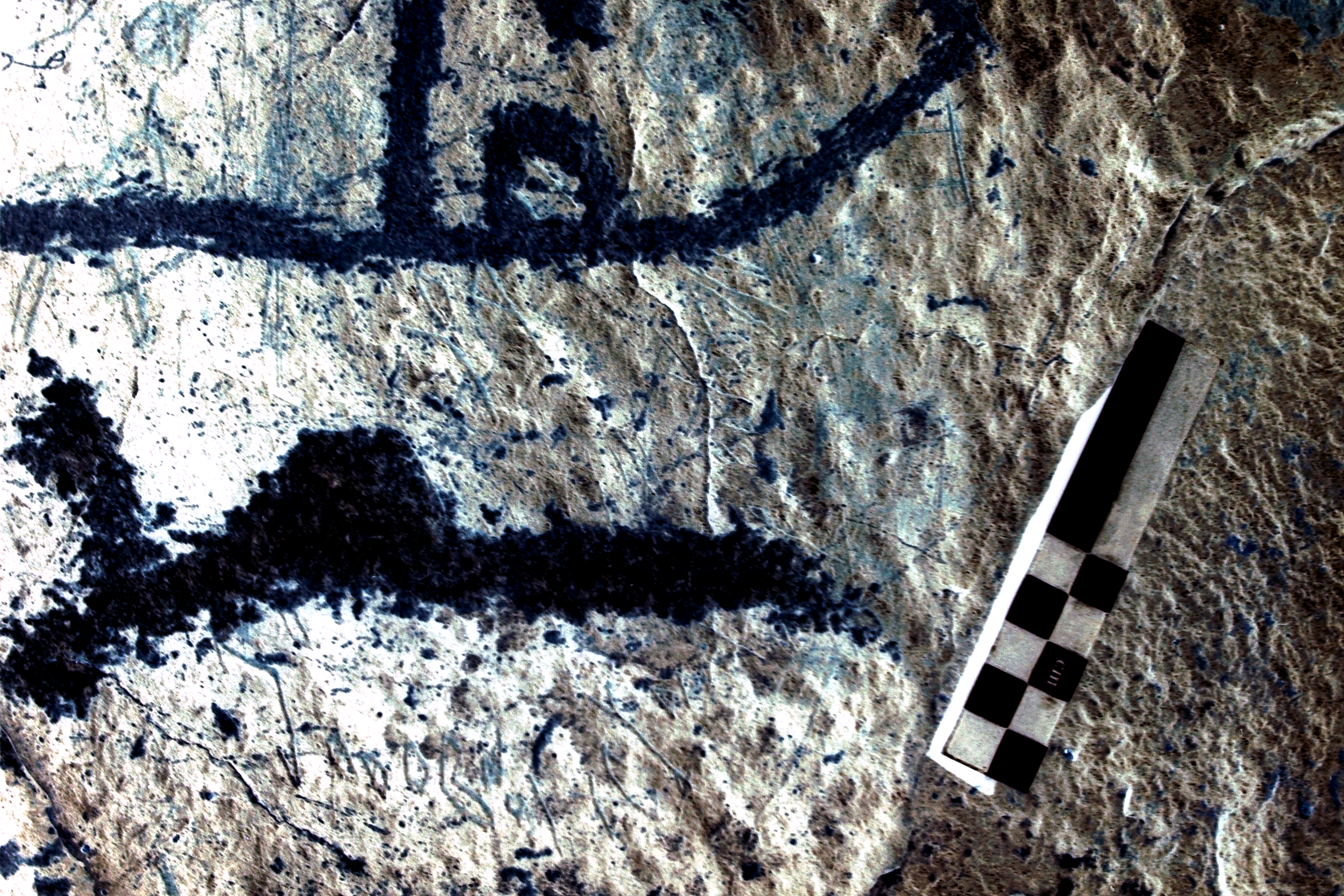 Image of JawaM 7