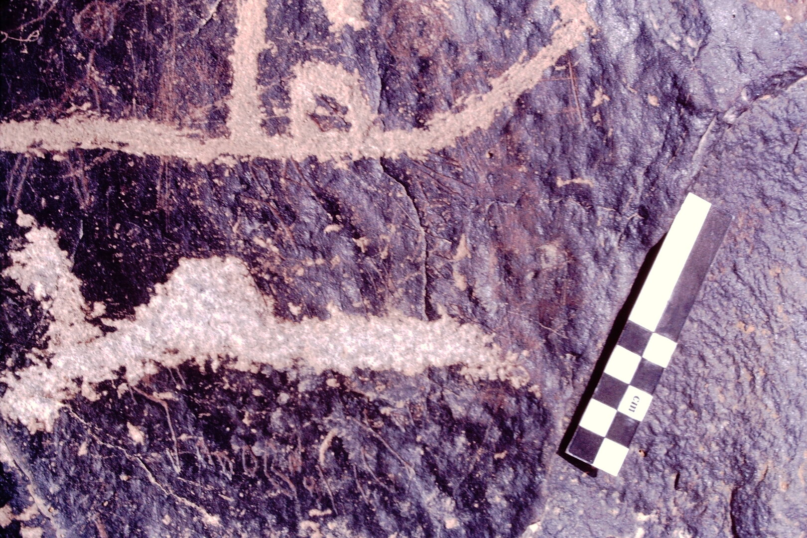 Image of JawaM 7