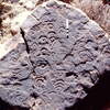 inscription of siglum KJA 191