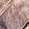 inscription of siglum KJA 213