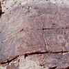 inscription of siglum KJA 262
