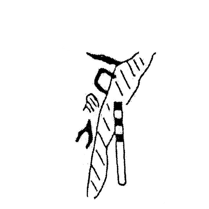 inscription of siglum KJC 393