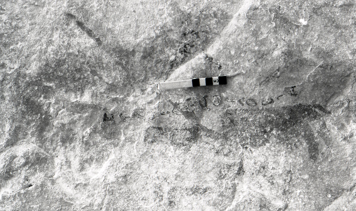 Picture of KMC 28 