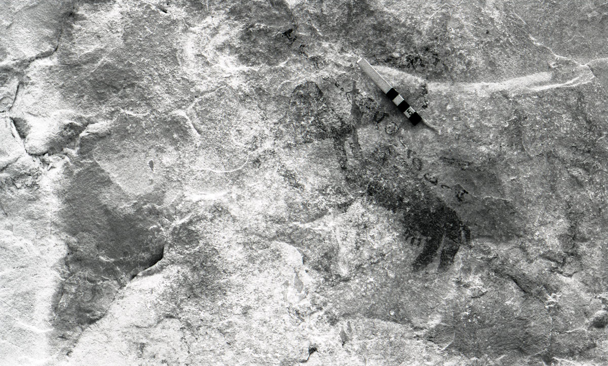 Picture of KMC 28 